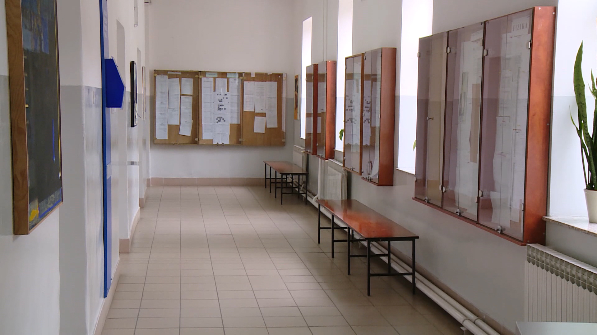 fakultet