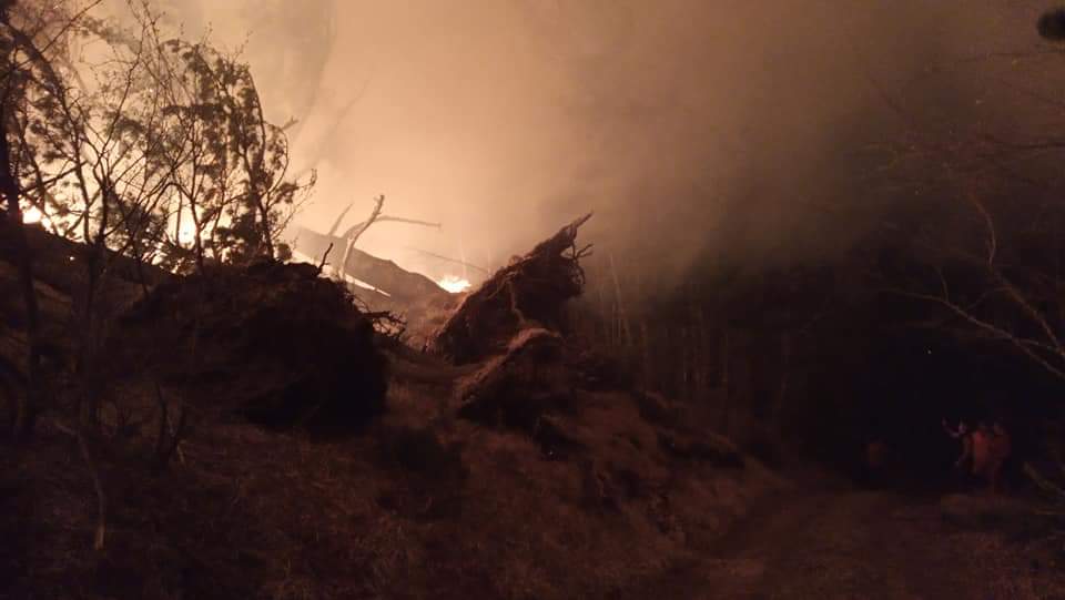 FB_IMG_1586725223439