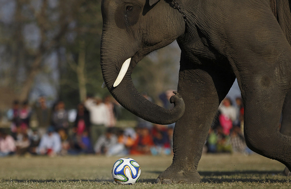 REUTERS/Navesh Chitrakar