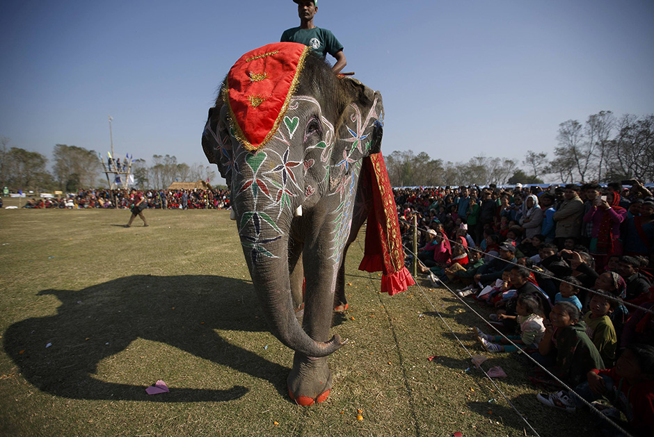 REUTERS/Navesh Chitrakar