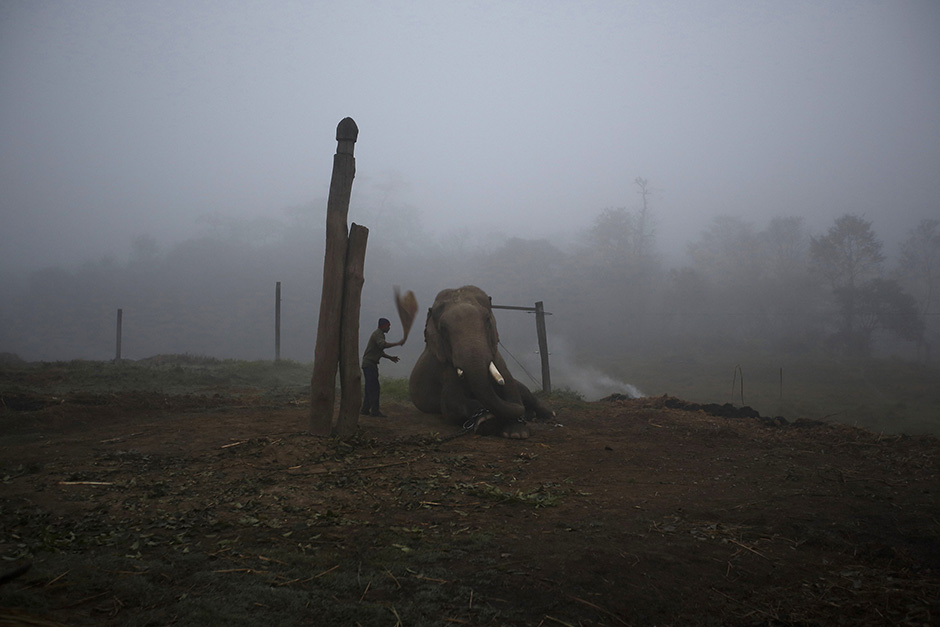 REUTERS/Navesh Chitrakar