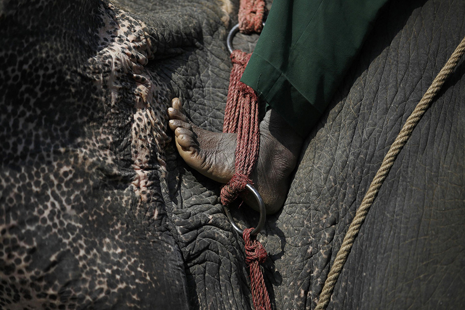 REUTERS/Navesh Chitrakar