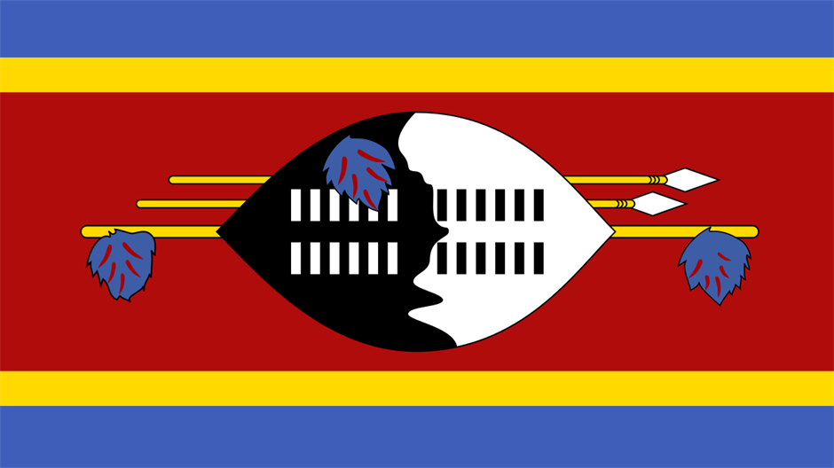 flag-of-swaziland-svg-79035.png