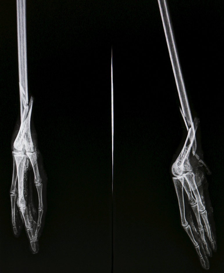 REUTERS/Paulo Whitaker