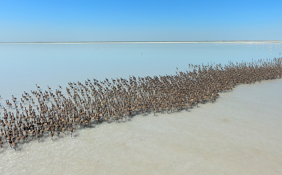 ANADOLIJA/Murat Öner TAŞ