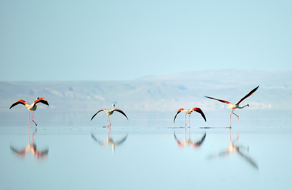 ANADOLIJA/Murat Öner TAŞ