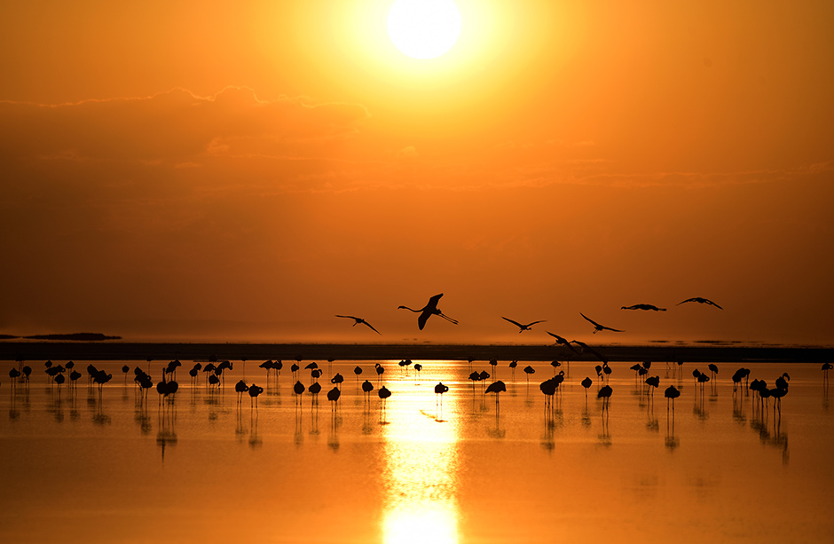 ANADOLIJA/Murat Öner TAŞ