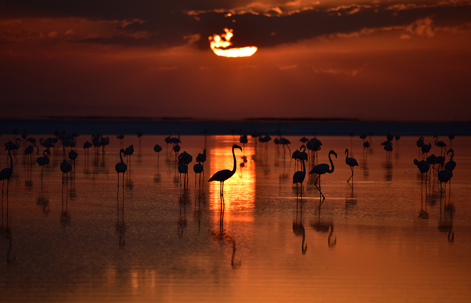 ANADOLIJA/Murat Öner TAŞ