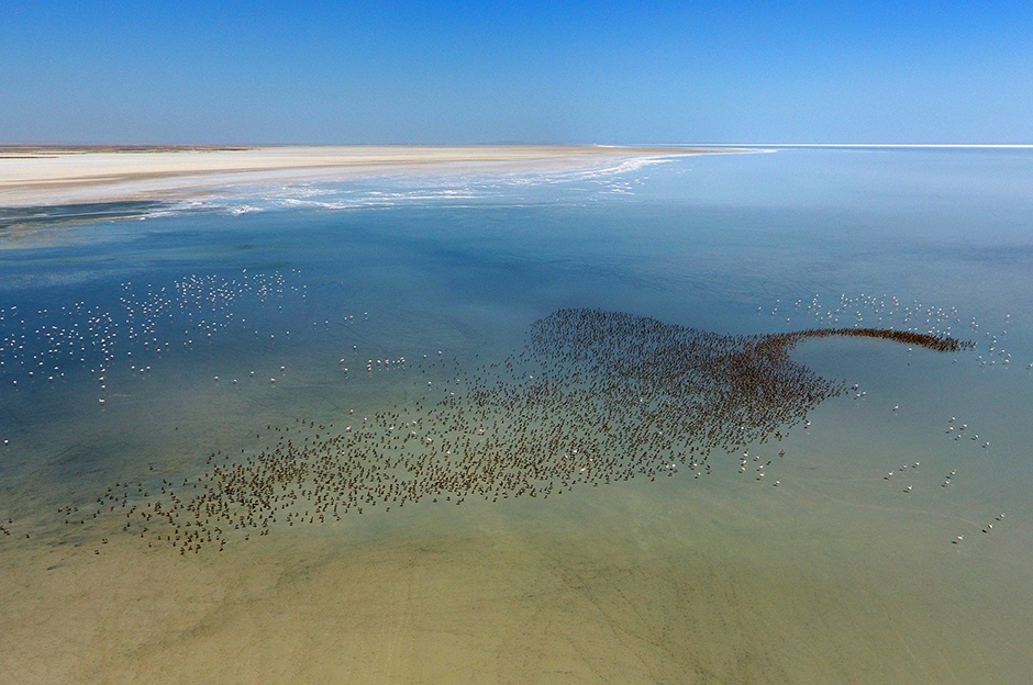 ANADOLIJA/Murat Öner TAŞ