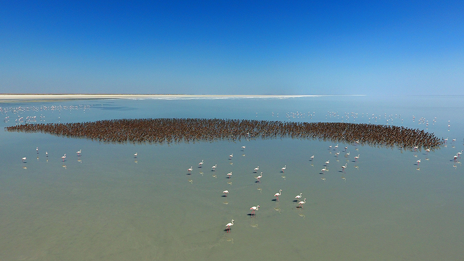 ANADOLIJA/Murat Öner TAŞ