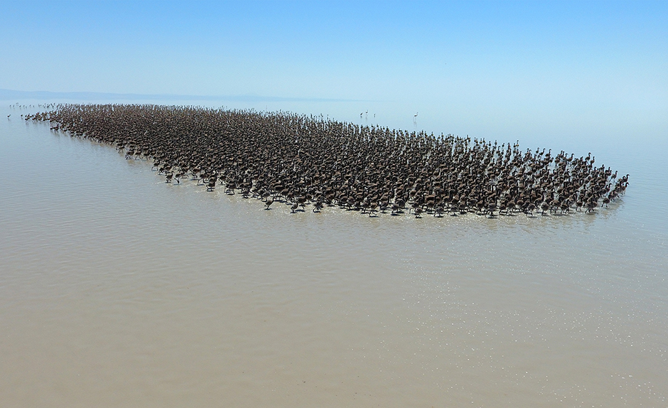 ANADOLIJA/Murat Öner TAŞ