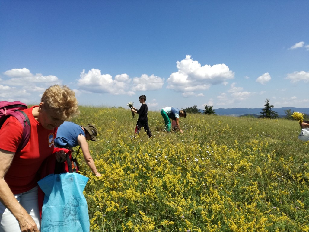 Fena/Bisera Džidić