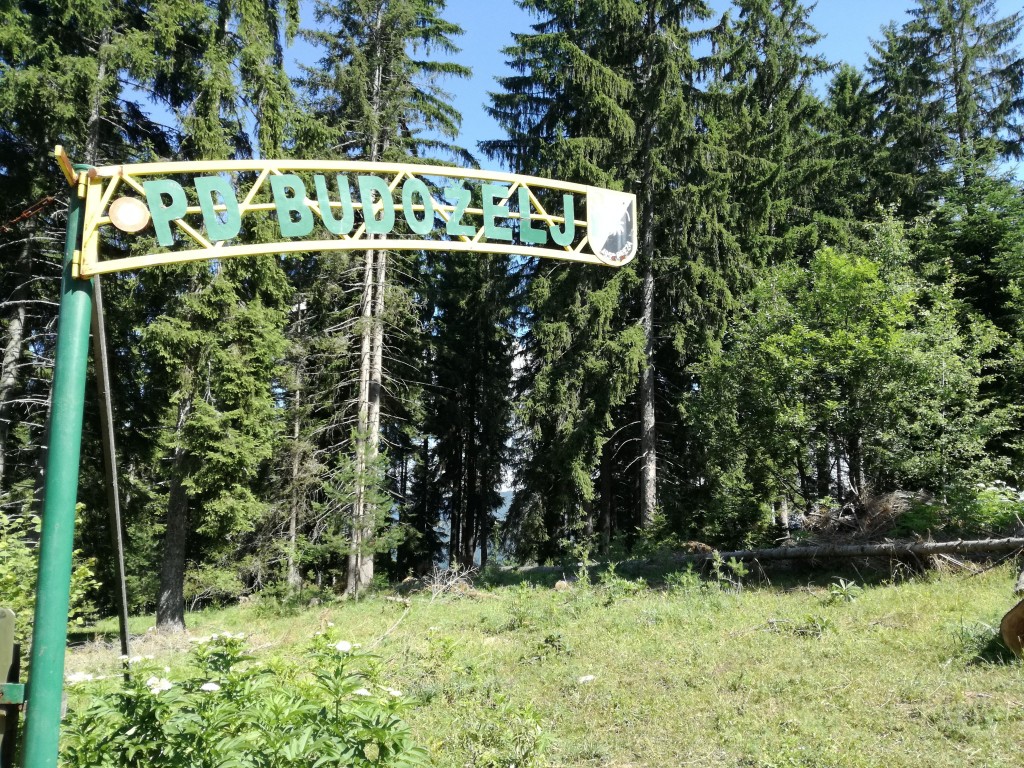 Fena/Bisera Džidić