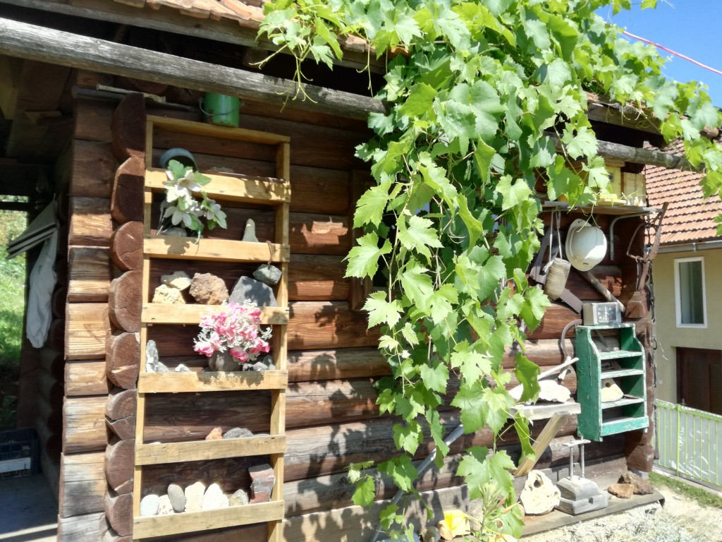 Fena/Bisera Džidić