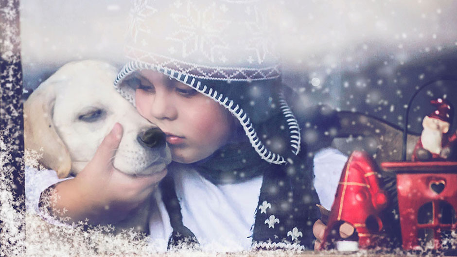 Fotke za naslovne strane knjiga (1)1