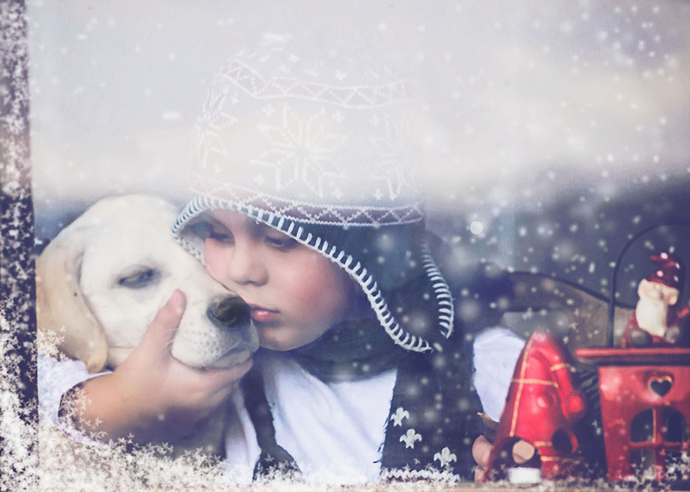 Jelena Simić Petrović