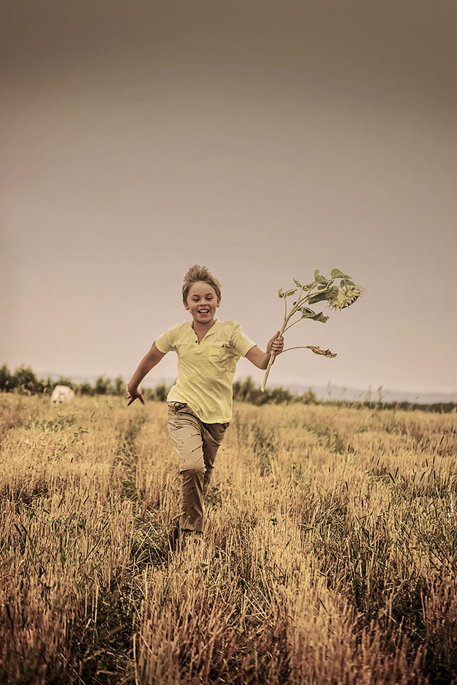 Jelena Simić Petrović