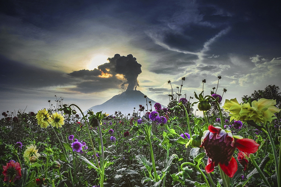 ANADOLIJA/Tibta Pangin