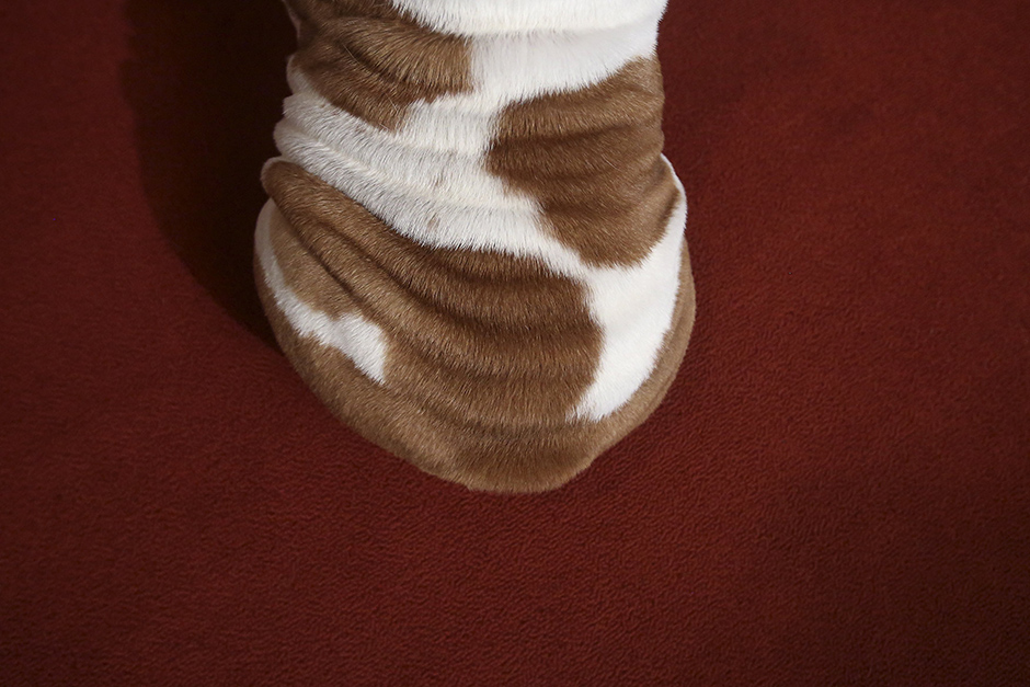 REUTERS/Carlo Allegri