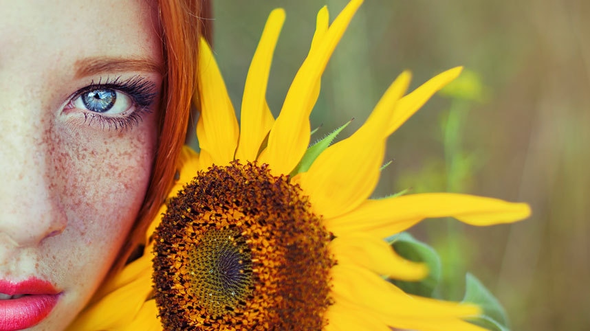 freckled-sunflowe-3392557k-34759.jpeg