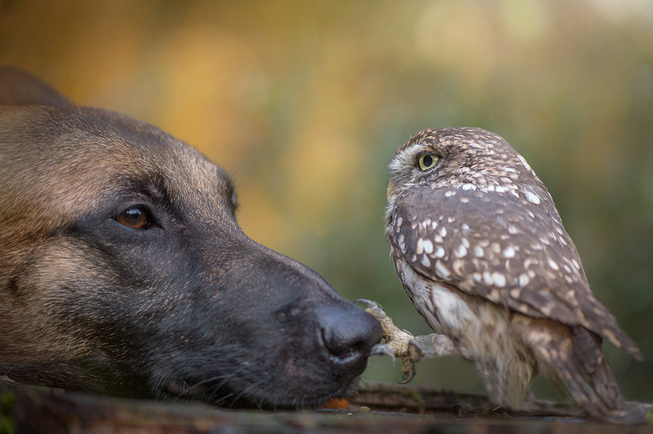 Tanja Brandt