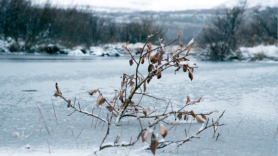 frozen-3625262_960_720