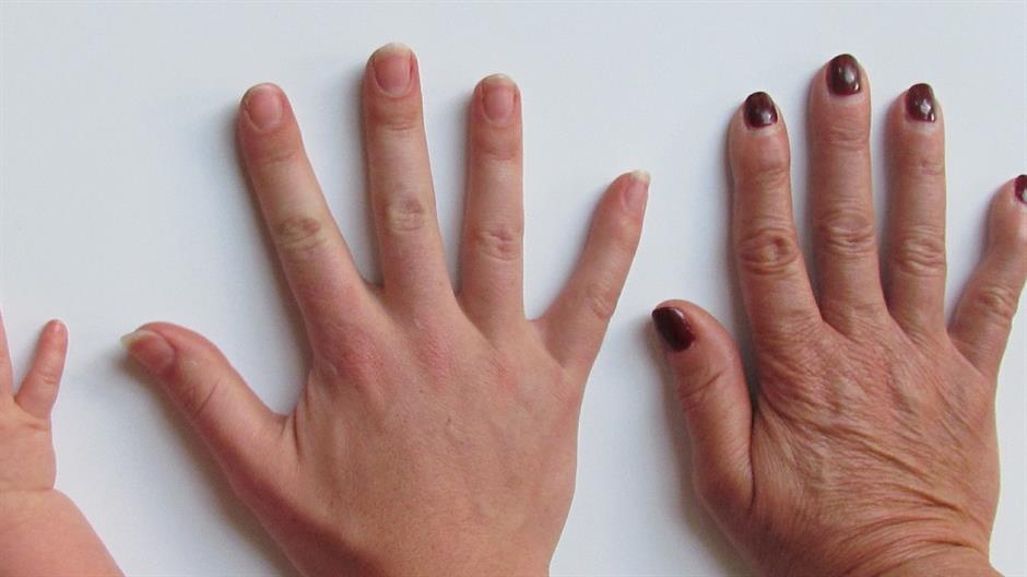 generations-462134_1920