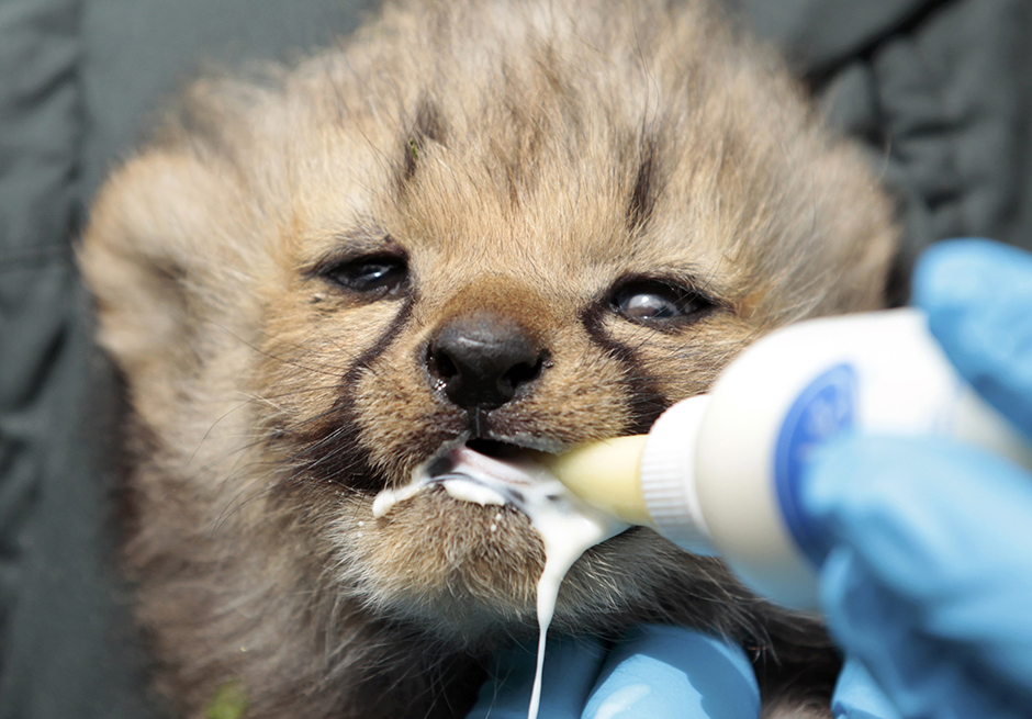 REUTERS/Ina Fassbender