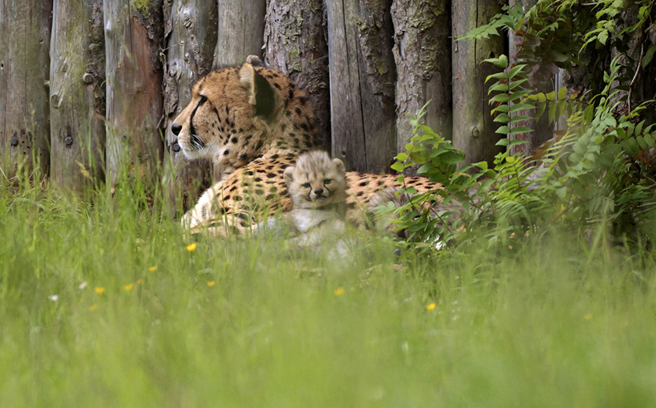 REUTERS/Ina Fassbender