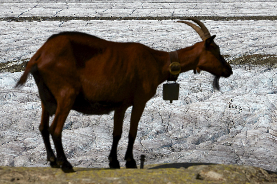 REUTERS/Denis Balibouse