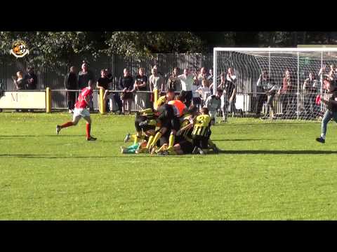 Gol iz bajke