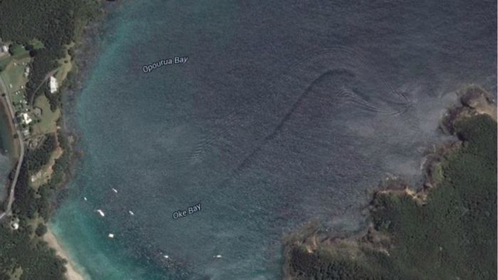 googleearth_novizeland