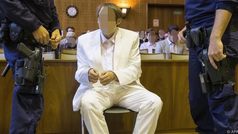 gutachter-attestierte-schizophrenie-bei-amokfahrer-von-graz-41-66668829