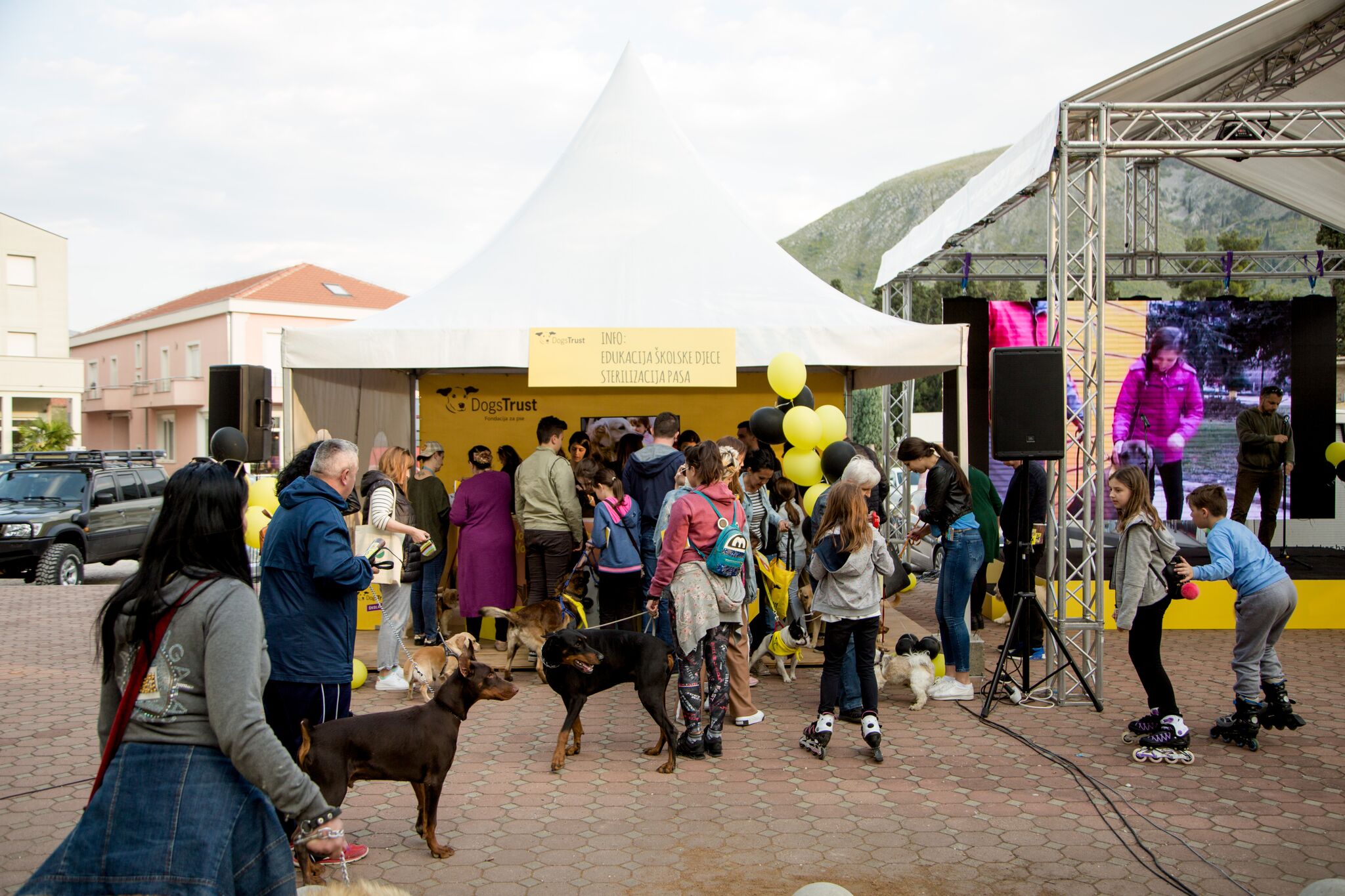 Dogs Trust BiH