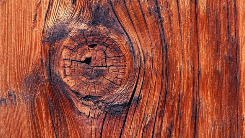 hjl2wig53fxsmkx72t5j