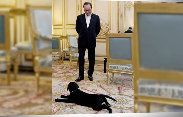 hollande