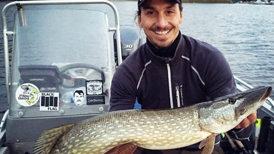 ibrahimovic ulovio ribu