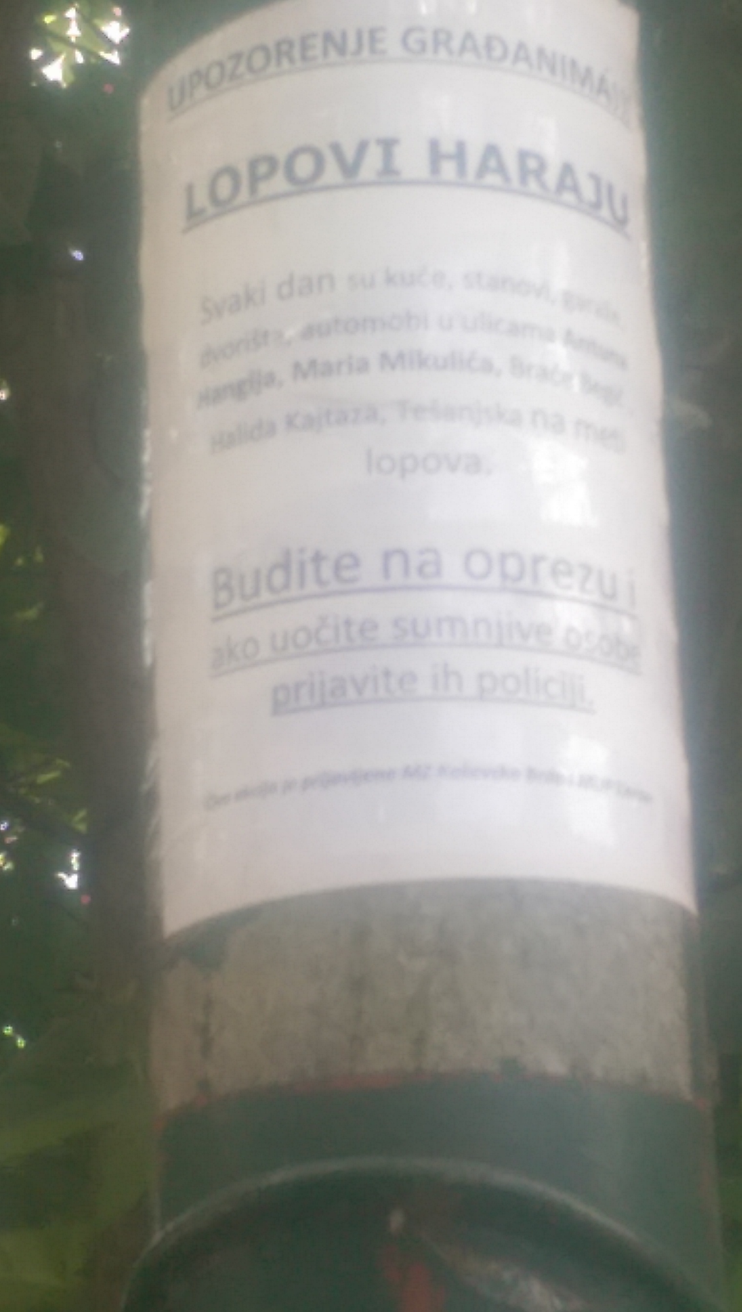 imag0463-70041.jpeg