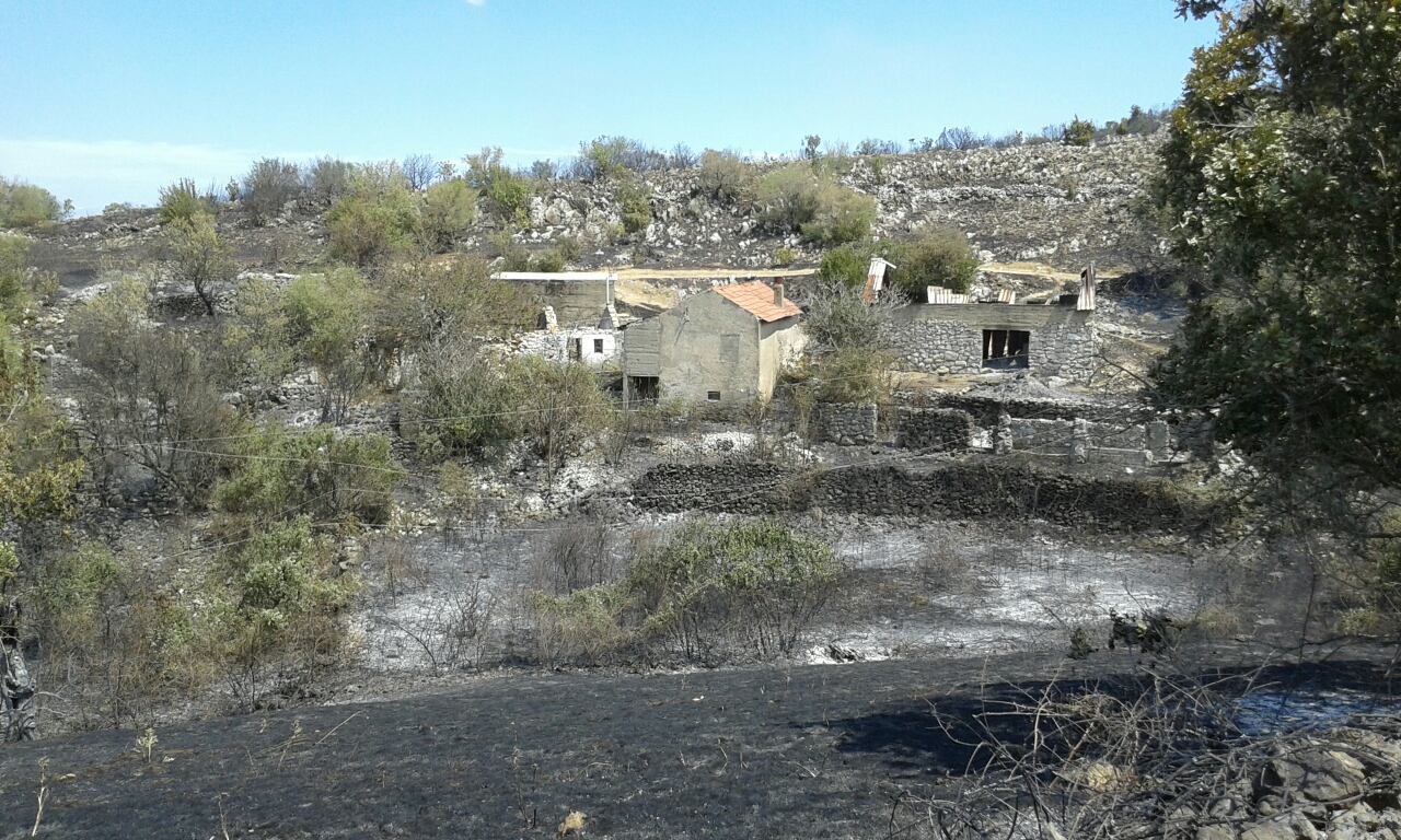 image-0-02-04-07fb7fbe3675e951c0671edb9cf8d04b63d12bbccbd2db60339ab60b8dc99ec5-V