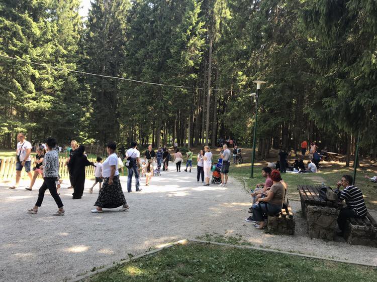 image-0-02-04-5465453350897aba1676b9f2d6563edf3a33a93434dda4c7b969a61517f1ede4-V