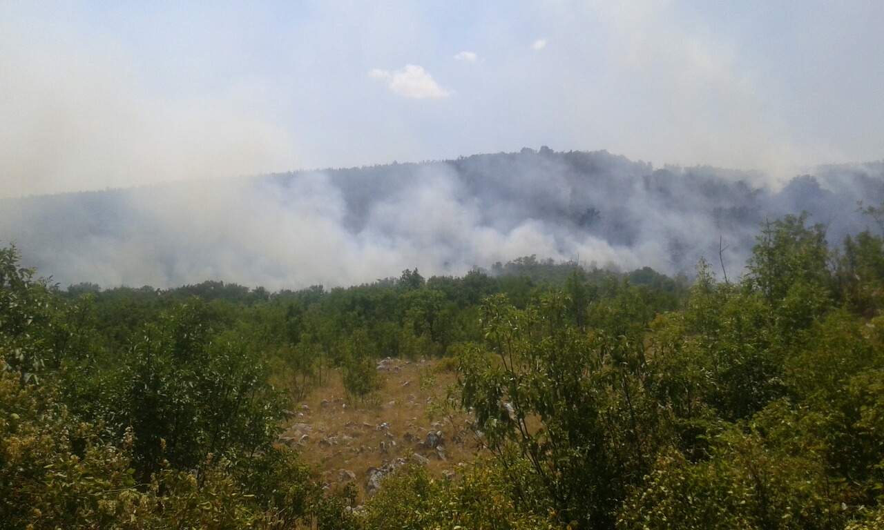 image-0-02-05-dacbf3ae107592d2352adfd121fbf23e6fbe38b372b3179f7bd36595a2a5460b-V