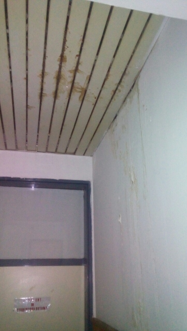 image-76ff3091e0f9b2238f9db59369cab53f29bd13678744a6748e6a009f5b7f8526-V