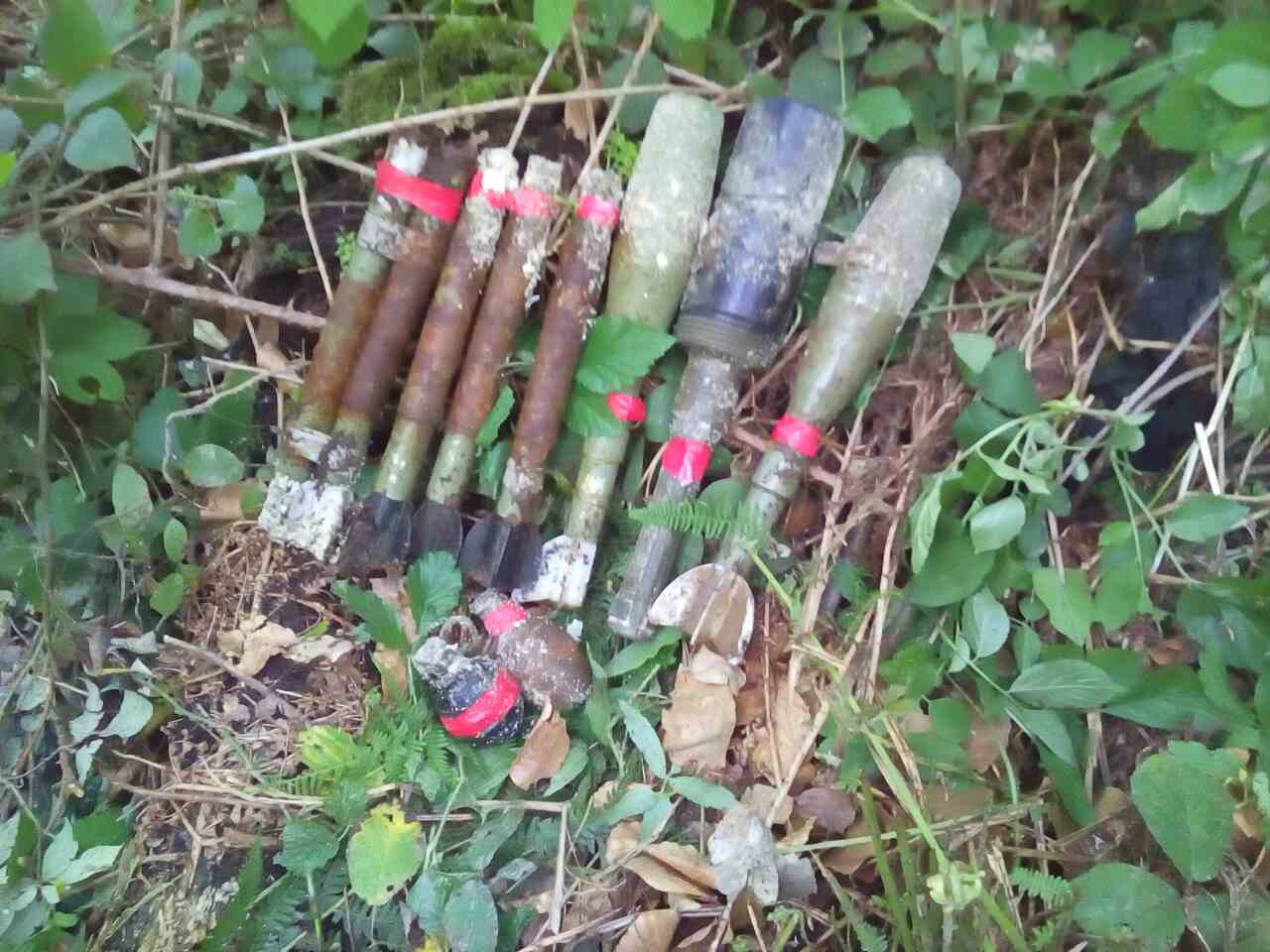 IMG-05014b64a5bb4b6cd5191bfa73da99ef-V