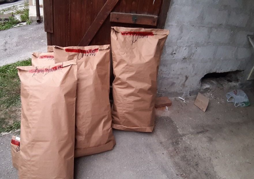 img-1850-266236.jpeg