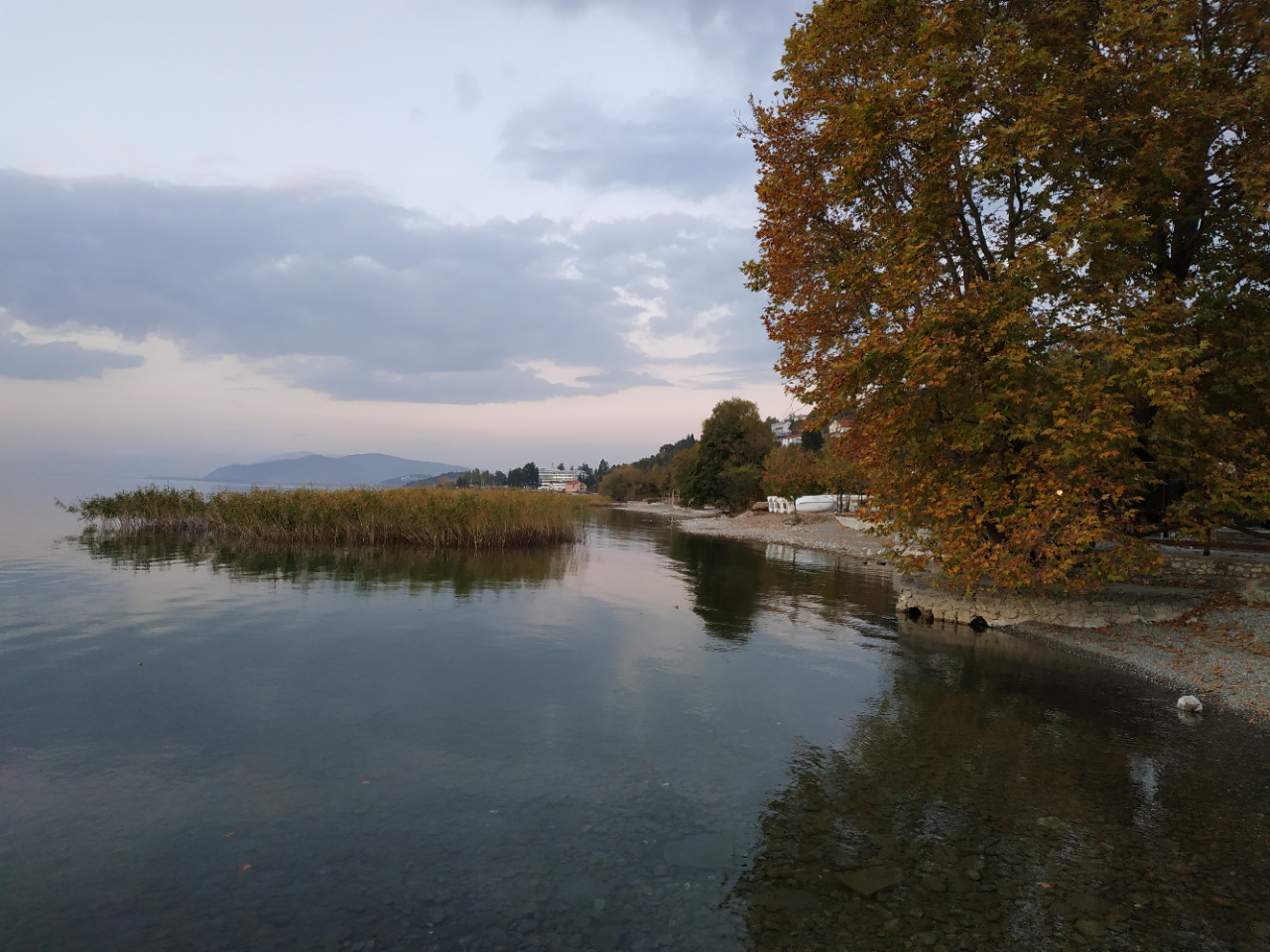 N1/ Jelena Petrović