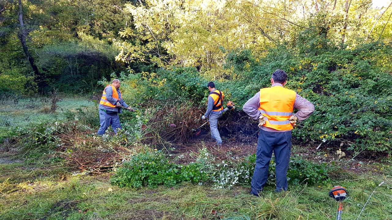 IMG-61970339deb668b268c8d6252b161e03-V