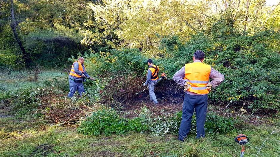 IMG-61970339deb668b268c8d6252b161e03-V