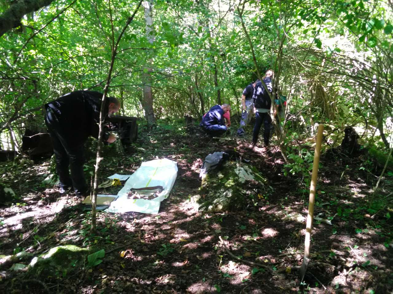 IMG-c8faf94338122d1ed065259ee3db44b5-V (1)