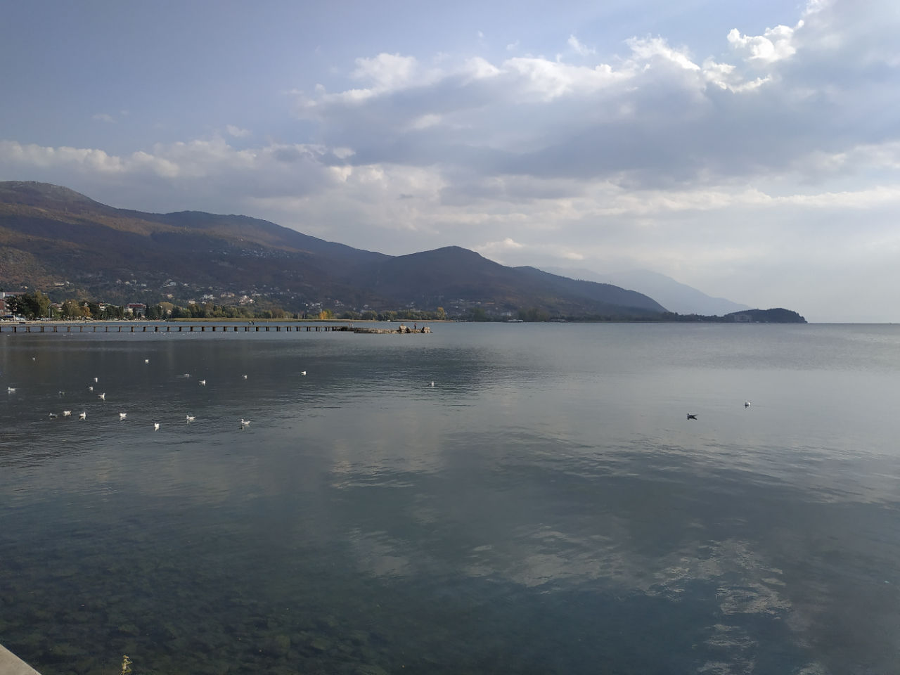 N1/ Jelena Petrović