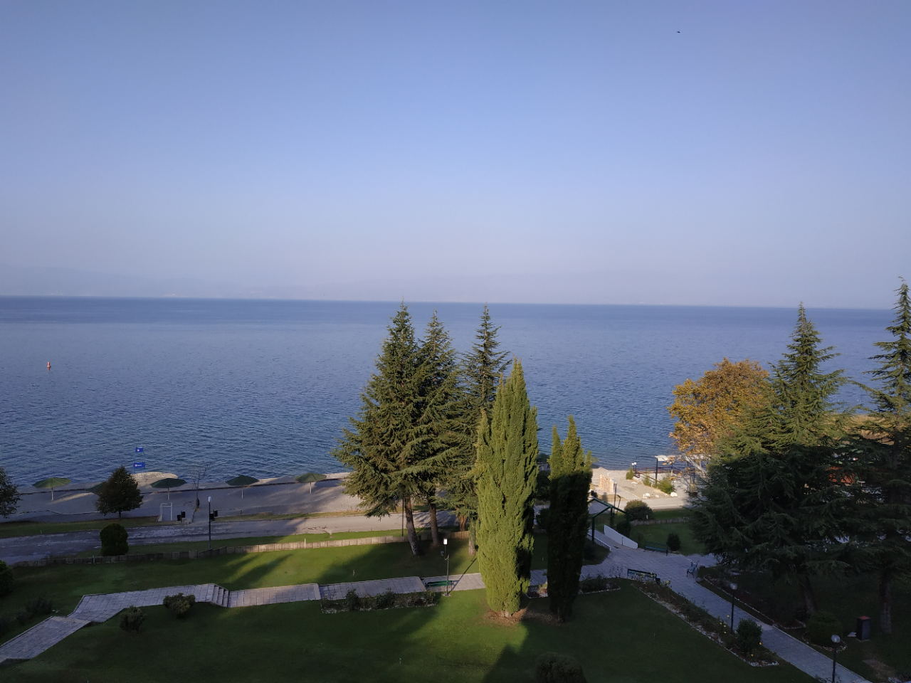 N1/ Jelena Petrović